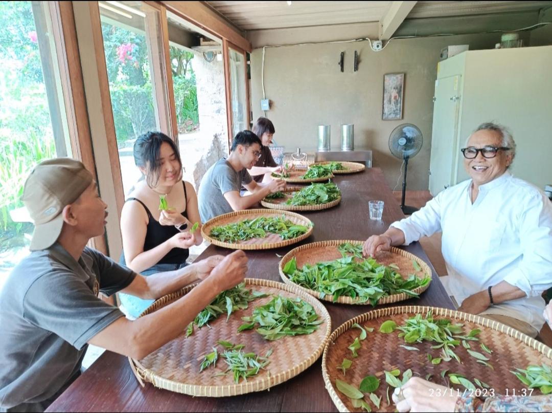 자띠루위 Dwan Tea Mountain Side B&B 외부 사진