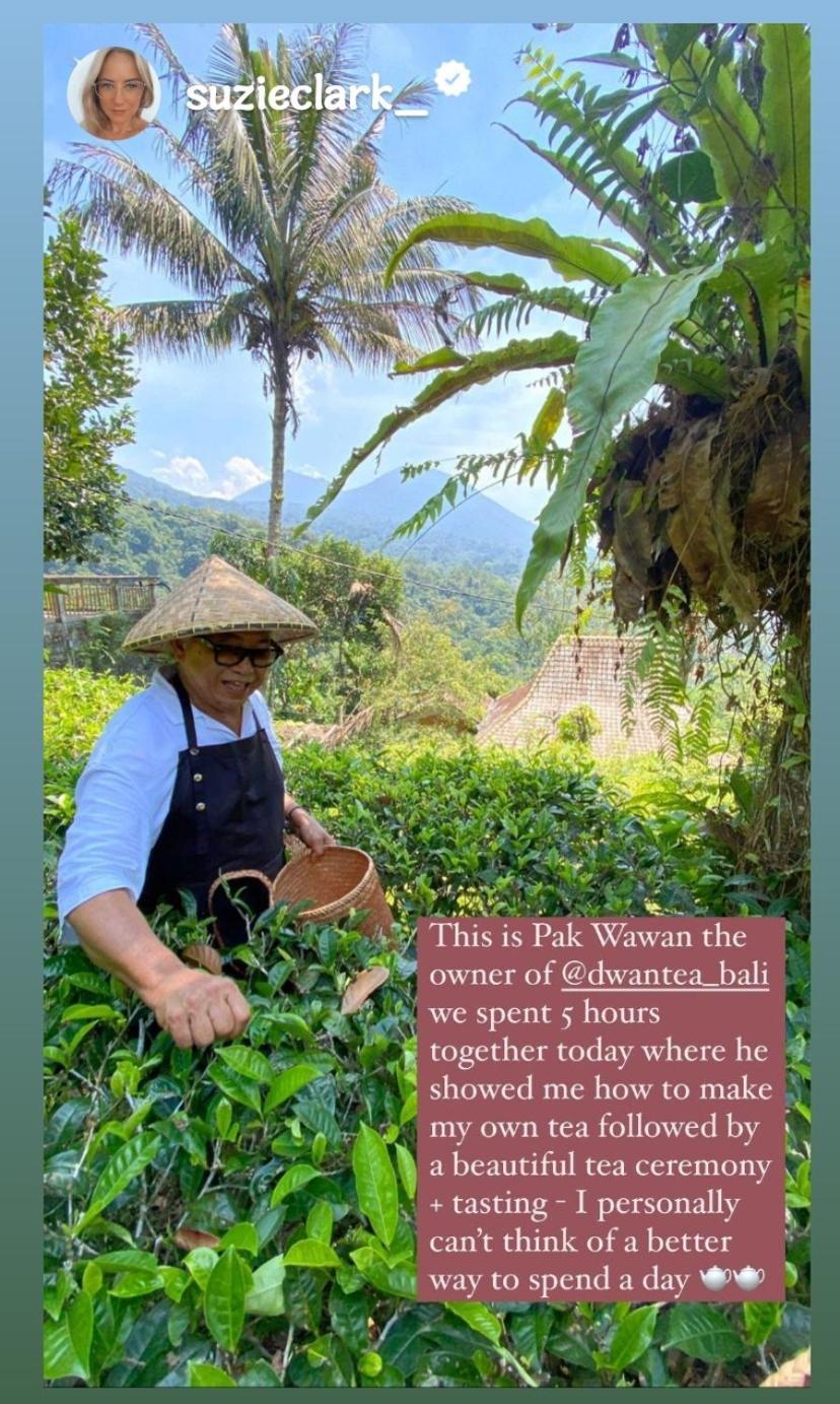 자띠루위 Dwan Tea Mountain Side B&B 외부 사진
