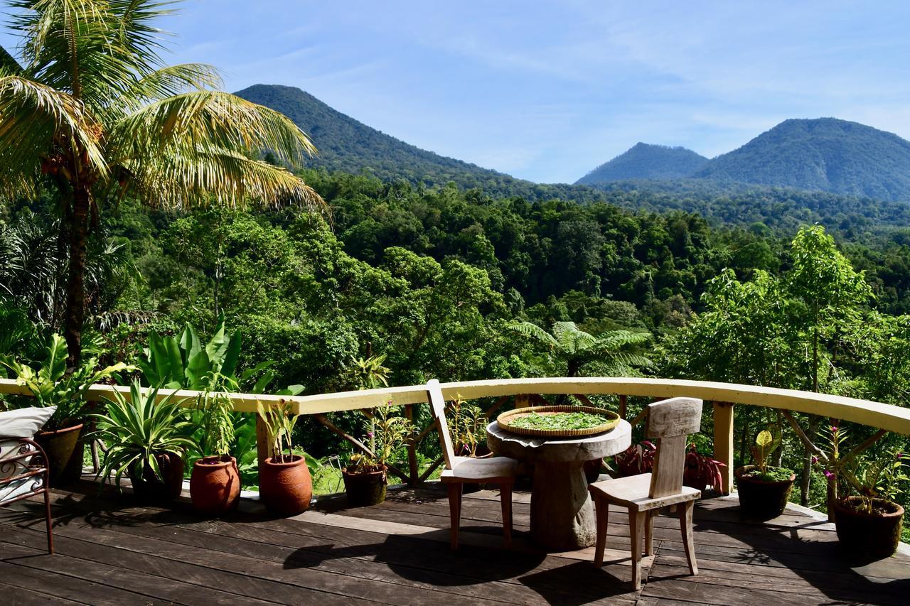 자띠루위 Dwan Tea Mountain Side B&B 외부 사진