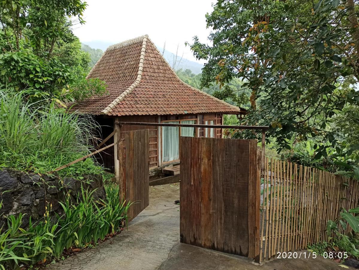 자띠루위 Dwan Tea Mountain Side B&B 외부 사진